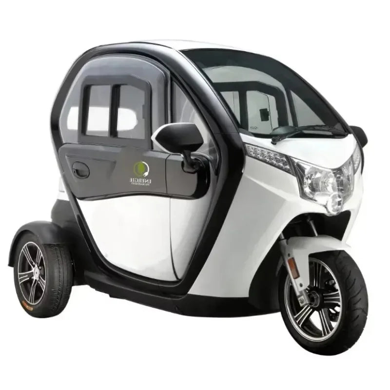 China Electric Mobility Tricycle Double Adulte Gasoline Enclosed Tricycle For Handicapped