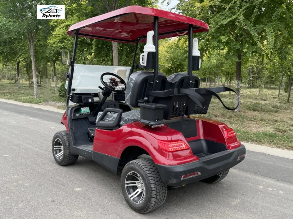 Street Legal 4000W 48V Electric Golf Cart Convertible Sightseeing Golf Cart 2 Seater Lithium Battery Sports Buggy Golf Cart