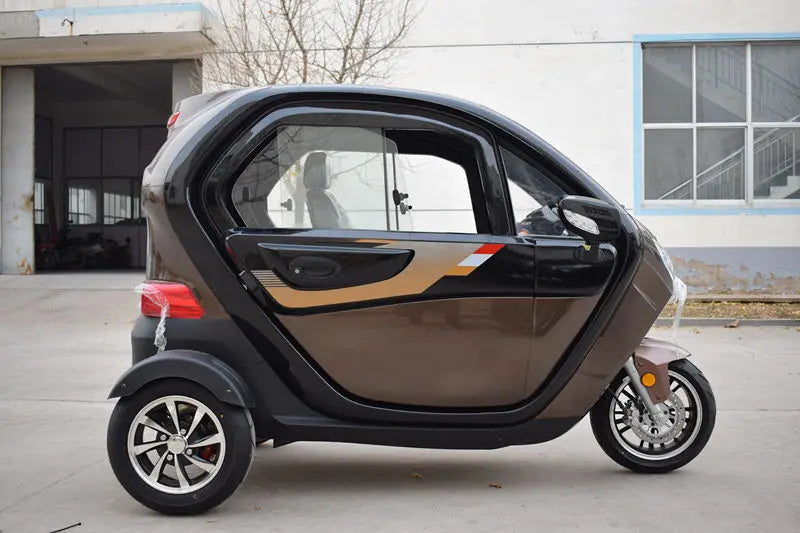 China Electric Mobility Tricycle Double Adulte Gasoline Enclosed Tricycle For Handicapped