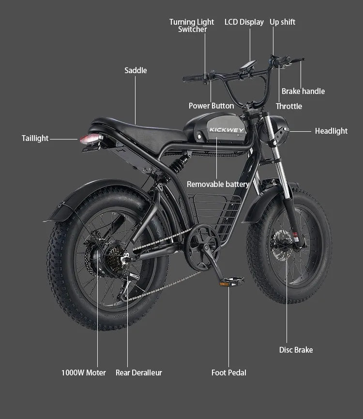 4.0Fat Electric Bike for Adults, 1500W 40MPH,48V 20/23AH,Max 75Miles Electric Motorcycle 20" Fat Tire Dirt Bike,  7-Speed E-Bike