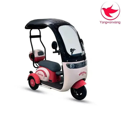 Mobility Scooter Adult Elderly Passenger Electric Tricycle With Roof Disability Mini Small Electric Scooter With Shed 3 Wheels