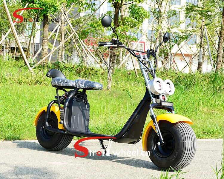 1000W 1500W 2000W 2 wheel electric scooter Citycoco electric scooter with removable lithium battery