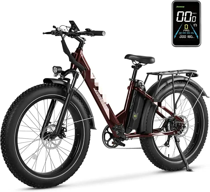 ALander S Adults.2849 Certified.26 Inch Fat Tire Mountain Ebike Step Through E-bike with 720W Motor.Speed