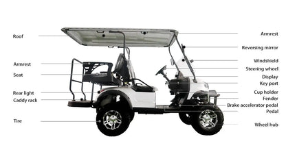 Street Legal Electric Golf Cart 4 Seats 5000W Scooter Go Kart ATV Adult Touring Classic Gasoline Golf Cart