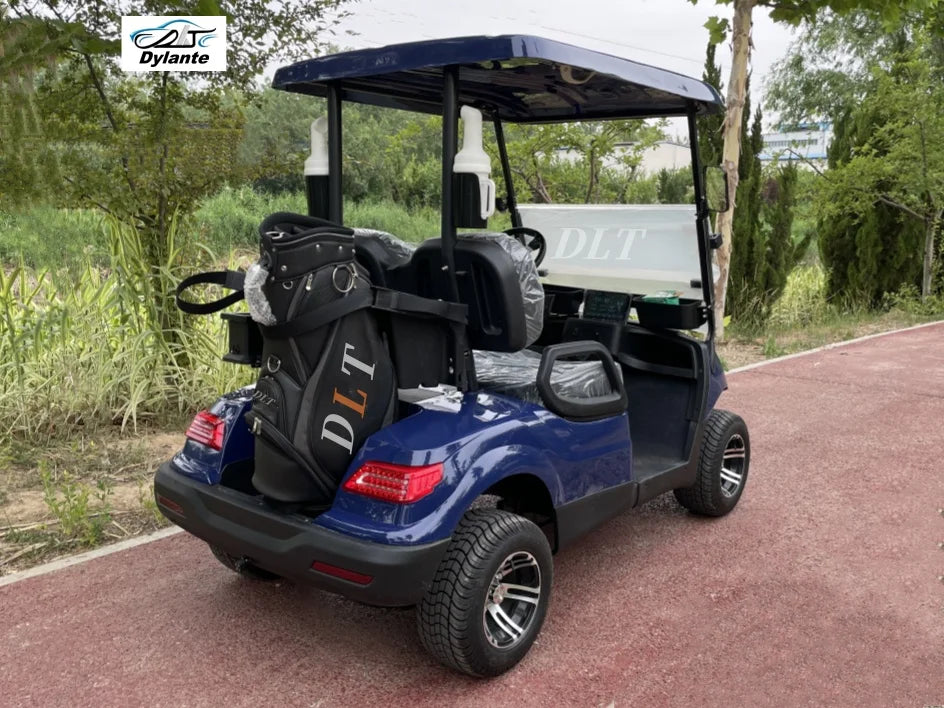 Street Legal 4000W 48V Electric Golf Cart Convertible Sightseeing Golf Cart 2 Seater Lithium Battery Sports Buggy Golf Cart