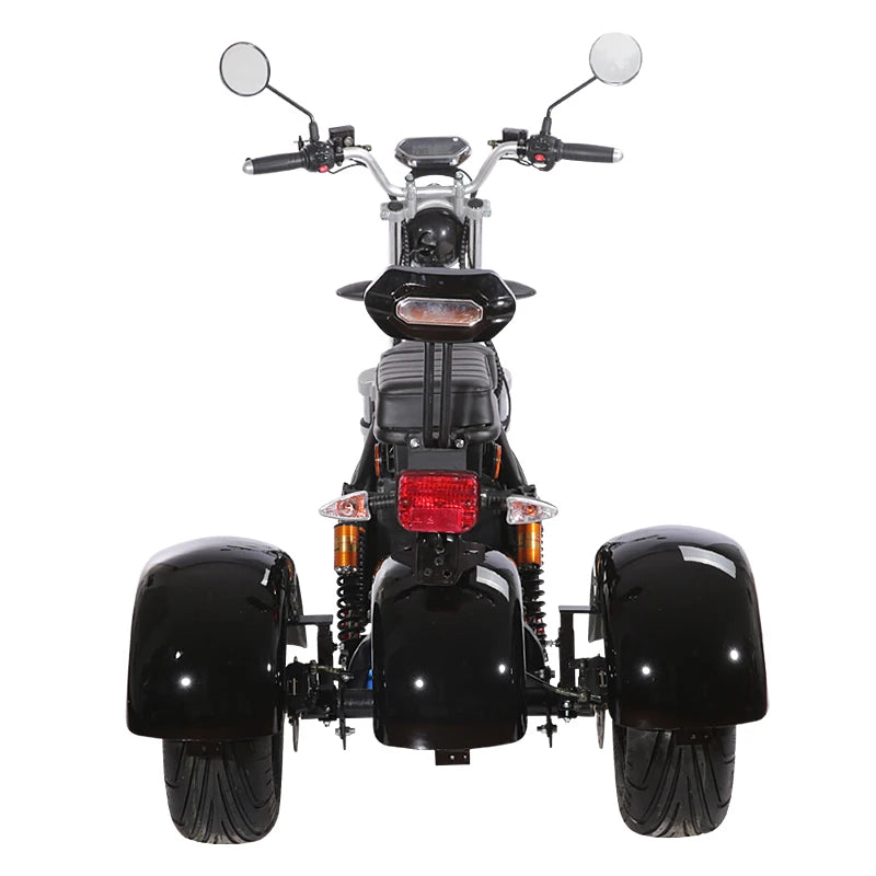 Warehouse Electric Motorcycle scooter 1200W citycoco/three fat wheel electric tricycle motorcycles