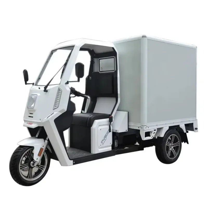 China Electric Mobility Tricycle Double Adulte Gasoline Enclosed Tricycle For Handicapped