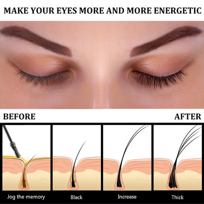 Fast Eyelash Growth Serum Eyebrow Enhancer Products Longer Fuller Thicker Lashes Eyelashes Enhancer Care Women Korean Cosmetics