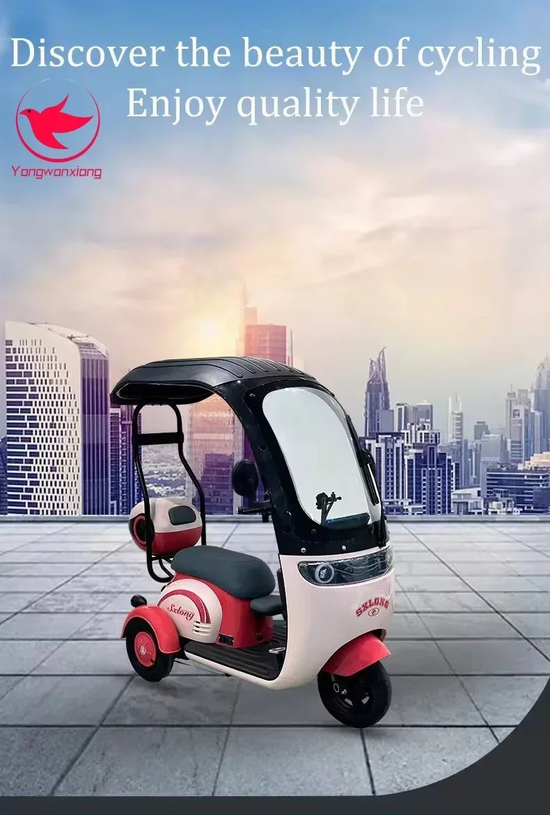 Mobility Scooter Adult Elderly Passenger Electric Tricycle With Roof Disability Mini Small Electric Scooter With Shed 3 Wheels