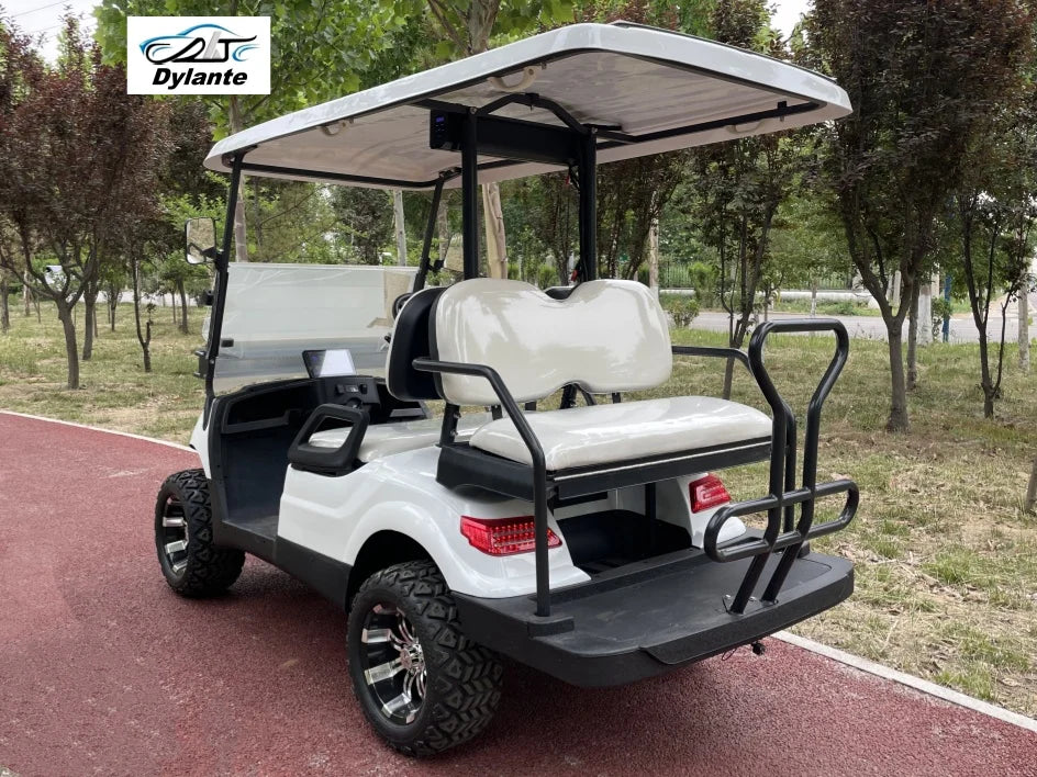 Street Legal 4000W 48V Electric Golf Cart Convertible Sightseeing Golf Cart 2 Seater Lithium Battery Sports Buggy Golf Cart