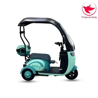 Mobility Scooter Adult Elderly Passenger Electric Tricycle With Roof Disability Mini Small Electric Scooter With Shed 3 Wheels