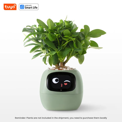 Tuya Smart Life Planter,Endless Fun Over 49 Rich Expressions,7 smart sensors,AI Chips Make Raising Plants Easy and Fun