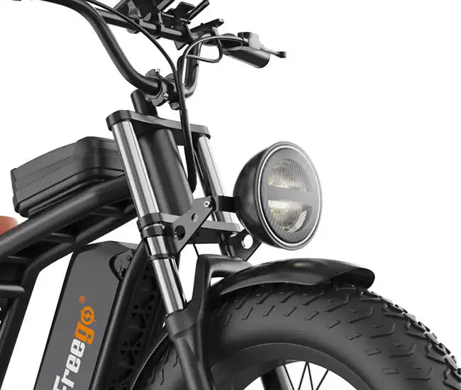 Freego 1000w electric bike 48V/12.5Ah ebike fat tire electric bikes 28MPH&30Mile Suitable for Teenage and Women