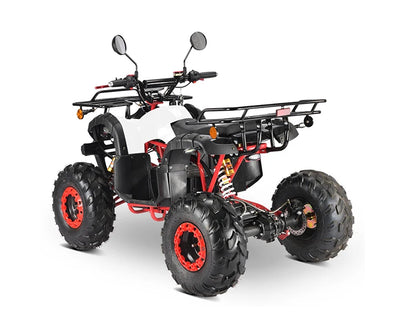 Newest 2022 Deluxe 1000W 2000W 3000W 36V Kids youth Electric Quad Bike ATV Motorbike Off Road UTV for Adult