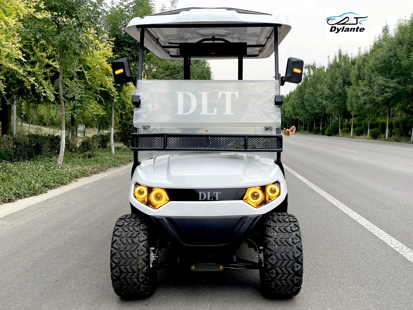 Street Legal 4000W 48V Electric Golf Cart Convertible Sightseeing Golf Cart 2 Seater Lithium Battery Sports Buggy Golf Cart