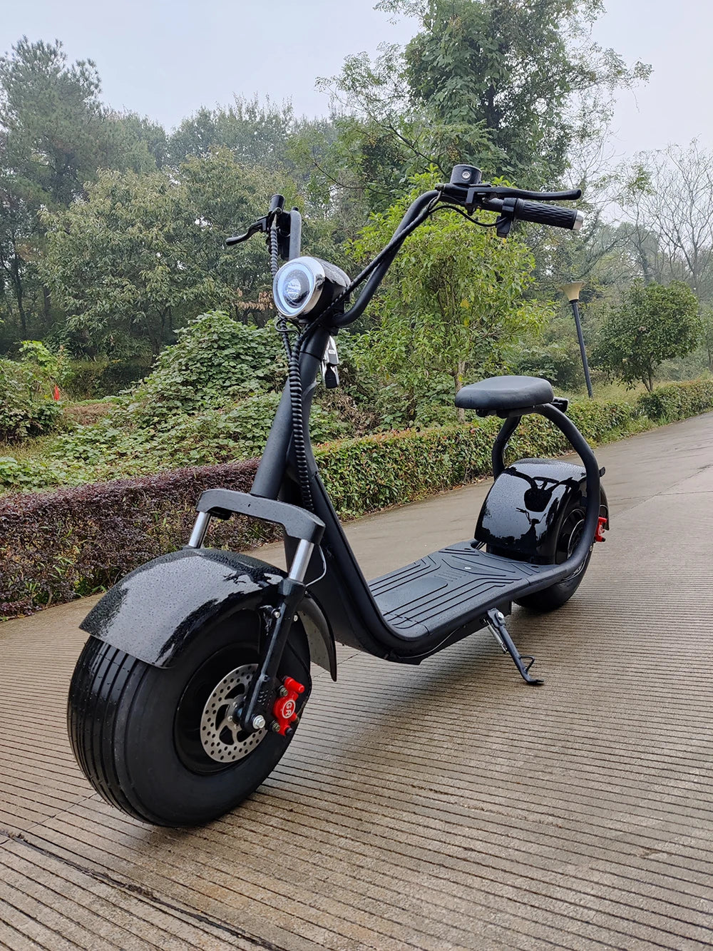 [USA Stock]Two Wheels Big Tire Trike Adult Tricycle Citycoco 2 Wheel Electric Scooter 3000W Fat Bike Tire