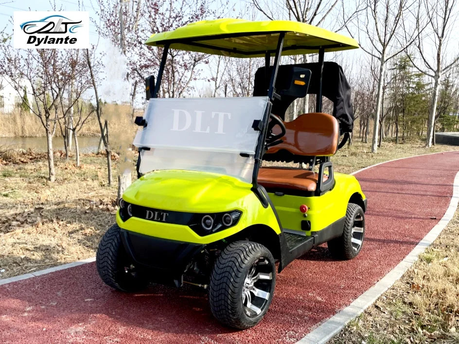 Street Legal 4000W 48V Electric Golf Cart Convertible Sightseeing Golf Cart 2 Seater Lithium Battery Sports Buggy Golf Cart