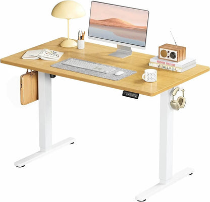 Standing Desk, Adjustable Height Electric Sit Stand Up Down Computer Table, 48x24 Inch Ergonomic Rising Desks for Work - MarvelouStoree