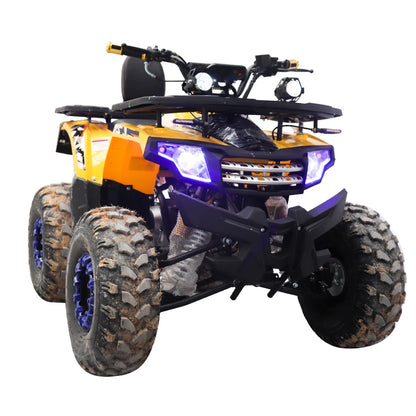 Vehicle 125cc Direct ATV Adult Farm Quad Bike electric 4x4 Atv 4 Wheel 2*4 Wholesale Atv For Adults